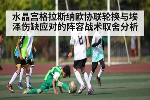 水晶宫格拉斯纳欧协联轮换与埃泽伤缺应对的阵容战术取舍分析 | kaiyun